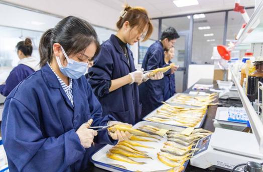 野生大黃魚為什么這么貴,