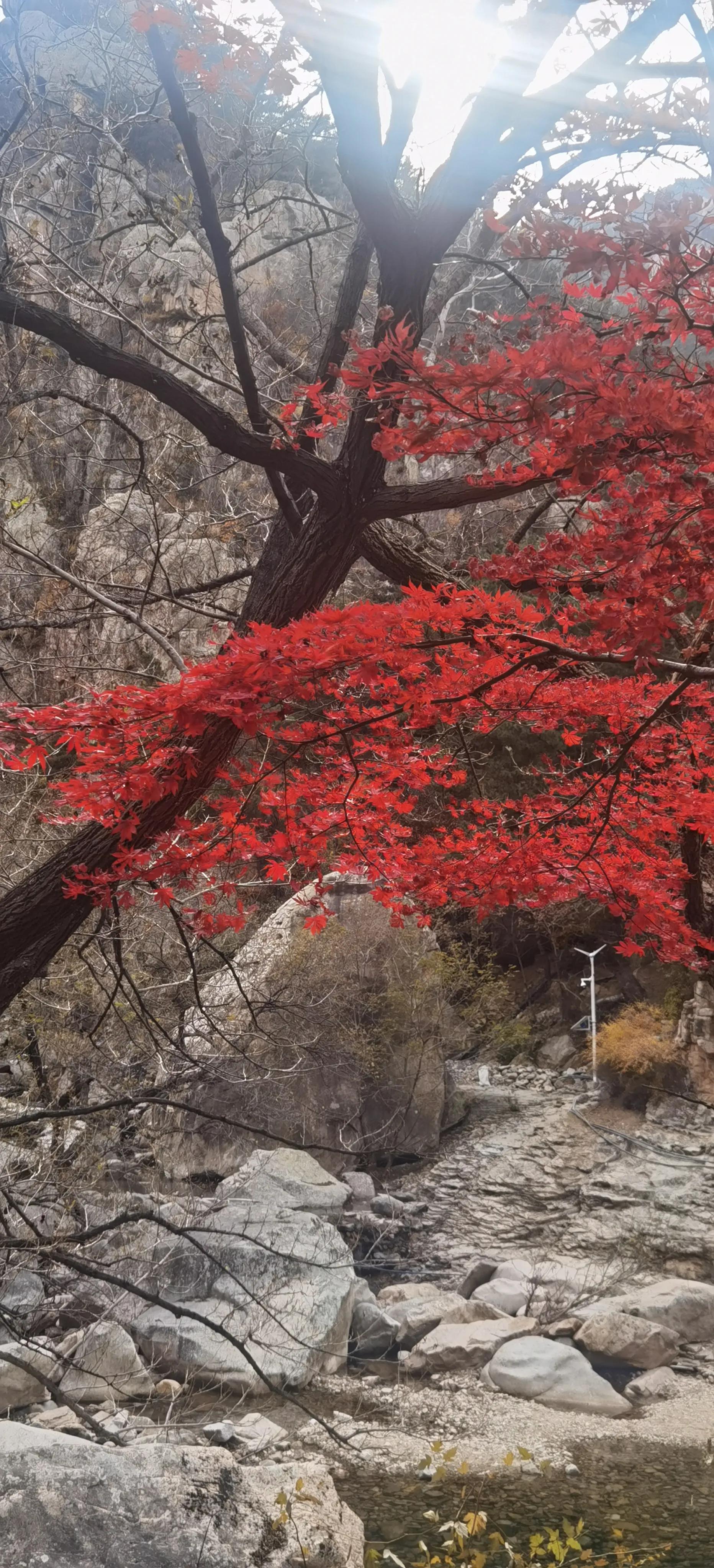 北九水的心念