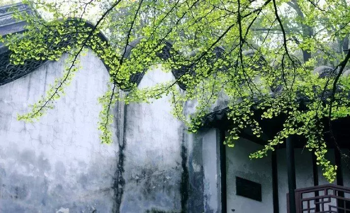 2019高考满分作文出炉！妙用传统文化元素，这些考生亮了