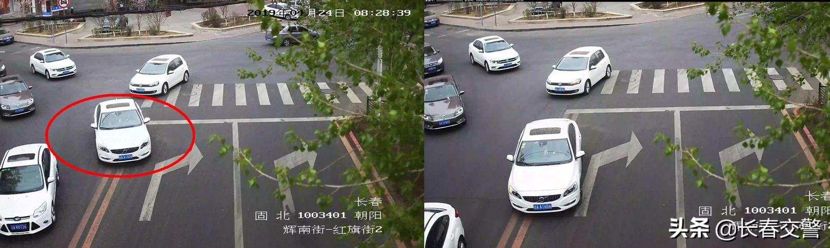 「违法曝光台」再这样开车，蜀黍建议你好好看看交通法吧！