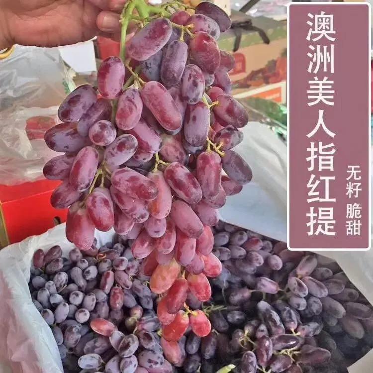 紅提產地,紅提產地在哪里