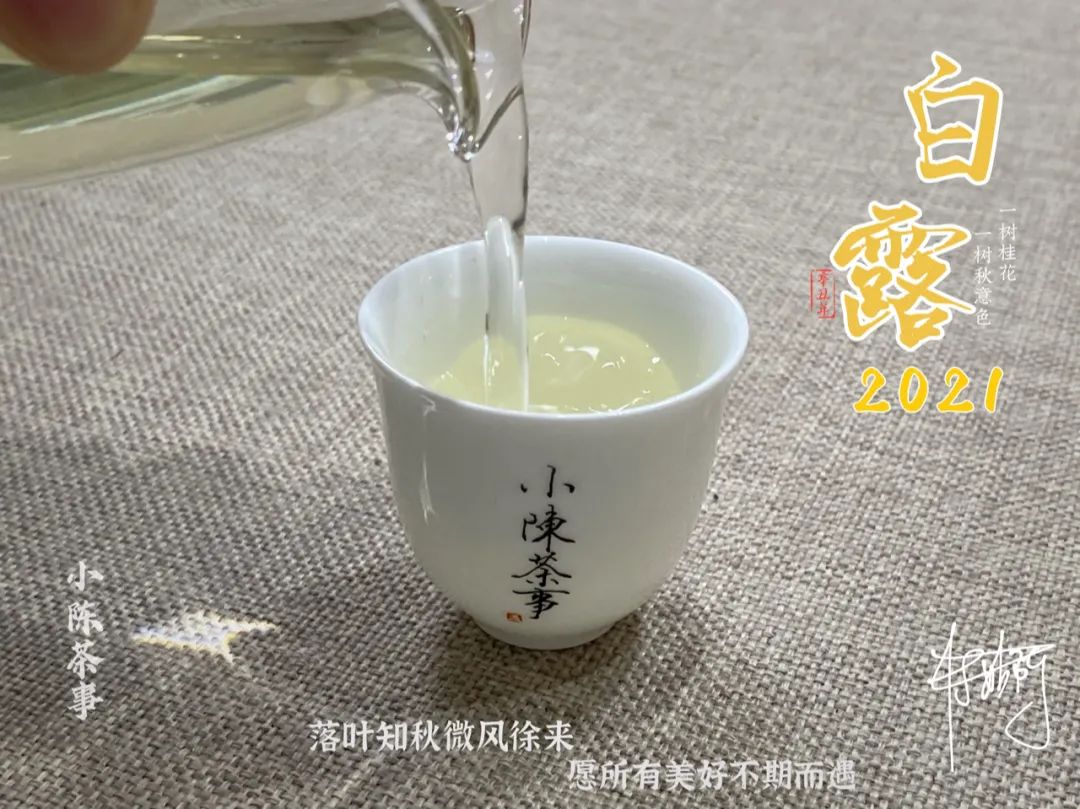 白茶、红茶、岩茶，什么样的茶叶不必洗茶？什么样的必须洗？