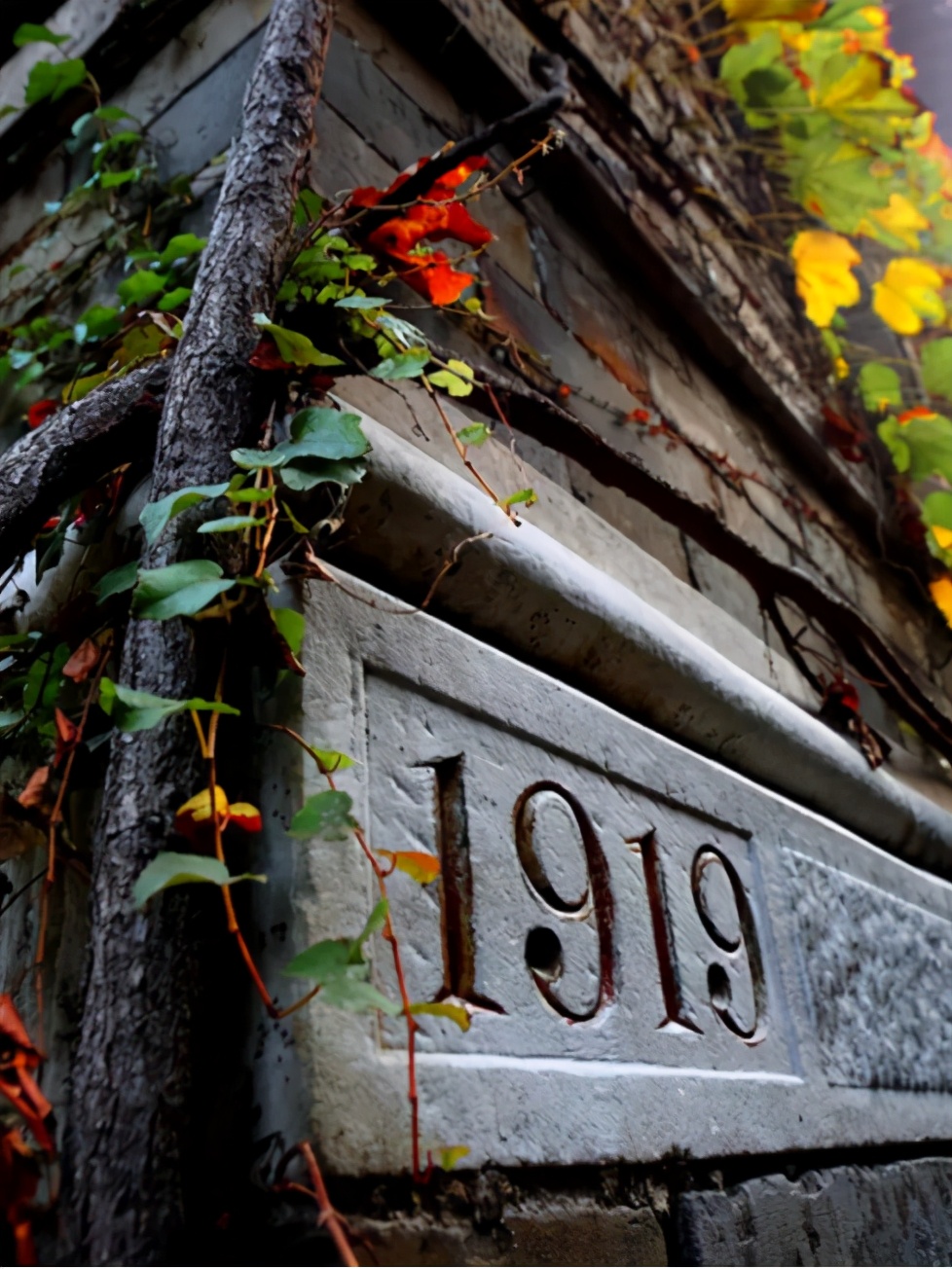 94位院士参与“主演”，拍摄横跨两个世纪，南京大学“百年巨幕”今日震撼上映！