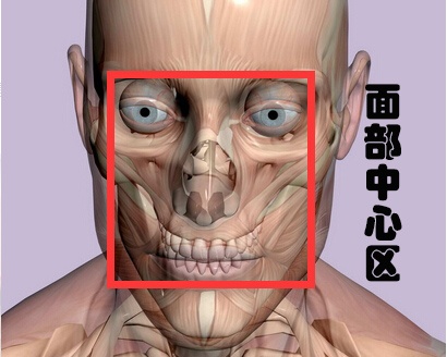 面部毁容2cm赔偿多少钱(广东南天司法鉴定百科) - 价格百科