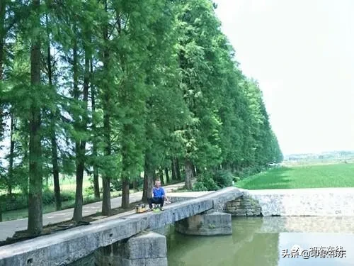 「家乡祁东」白地市记忆