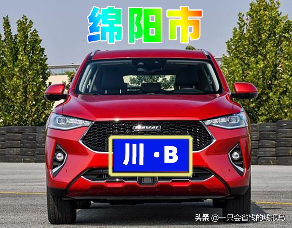 å››å·�çœ�æ±½è½¦ç‰Œç…§å&shy;—æ¯�æ�’åº�
