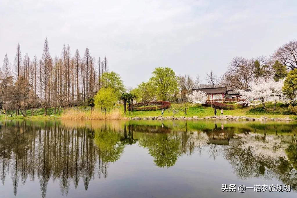 农业农村部:发展还原传统的乡村民宿经济