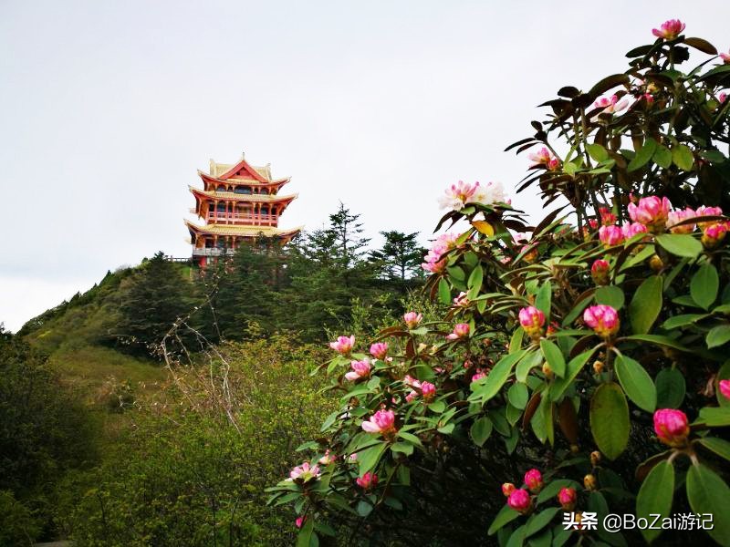 峨眉山在哪个省(到四川峨眉山景区旅游，这7个景点值得游玩，你去过几个？)