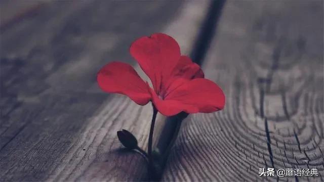 当初花言巧语，怎么说变就变？《无问西东》中的婚姻道尽人性虚伪