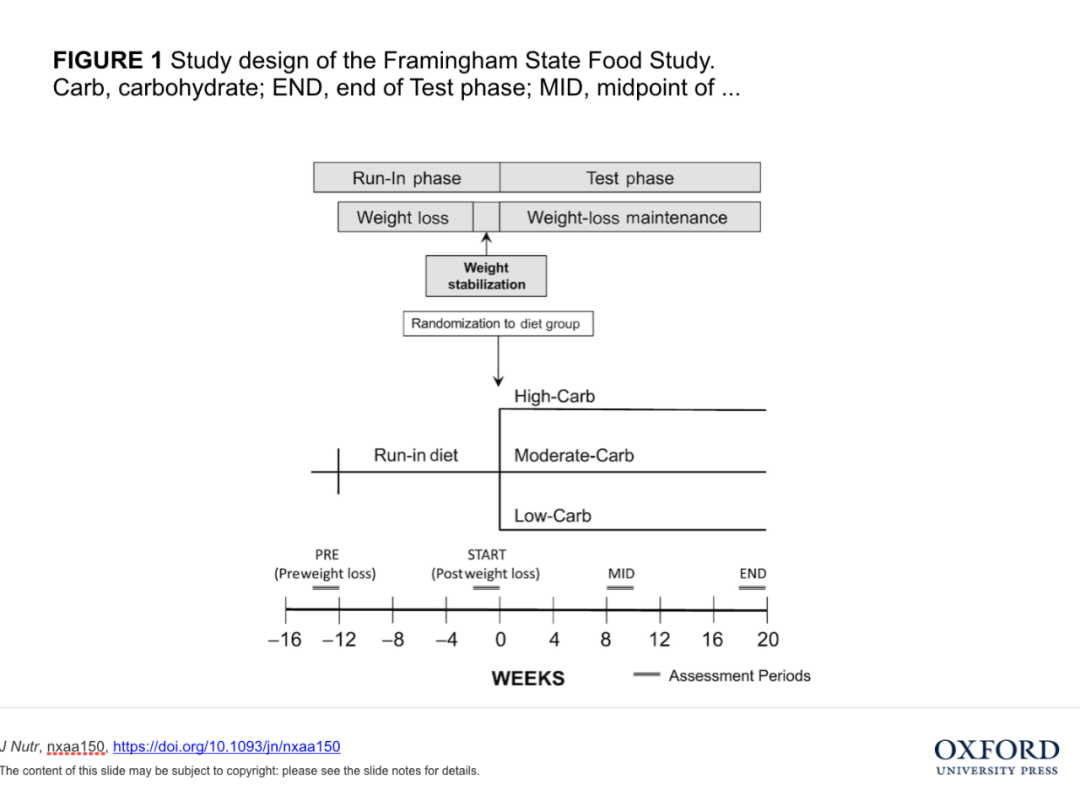 牛津学术：不反弹，多吃一点，也不胖的秘籍，被哈佛教授发现了