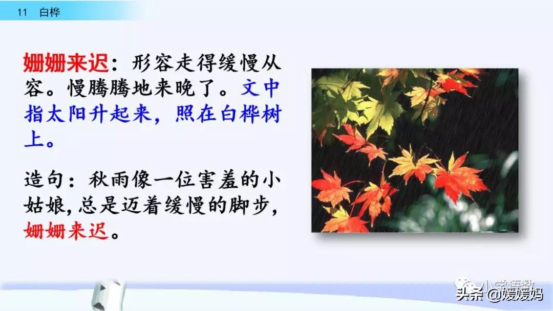 白桦树电影剧情「分析」 _晶羽科技