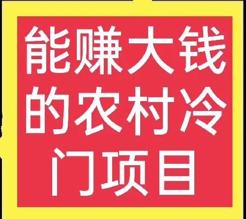 农村独门生意 今年图片