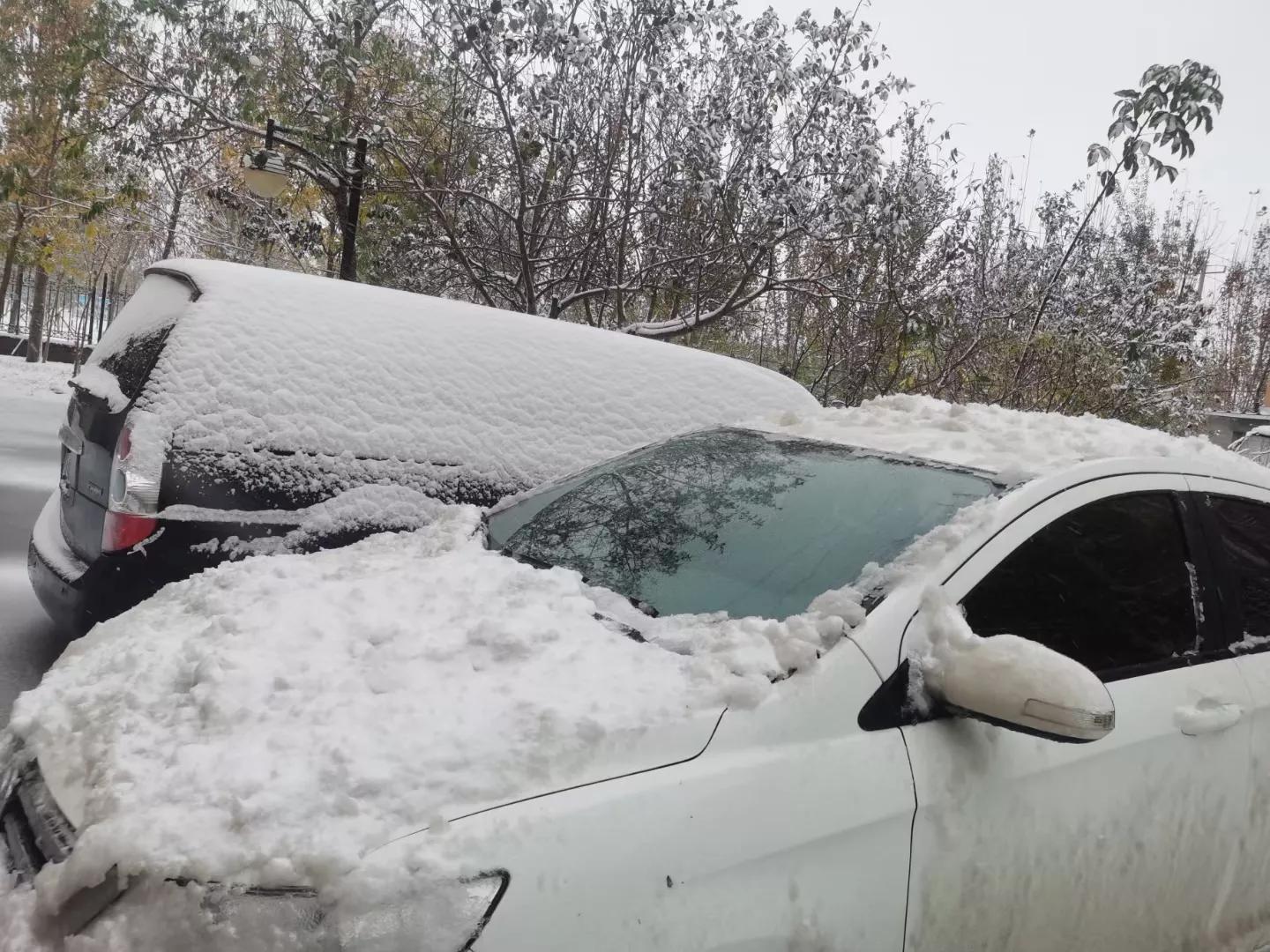 雪，让娘的头发又白了一片