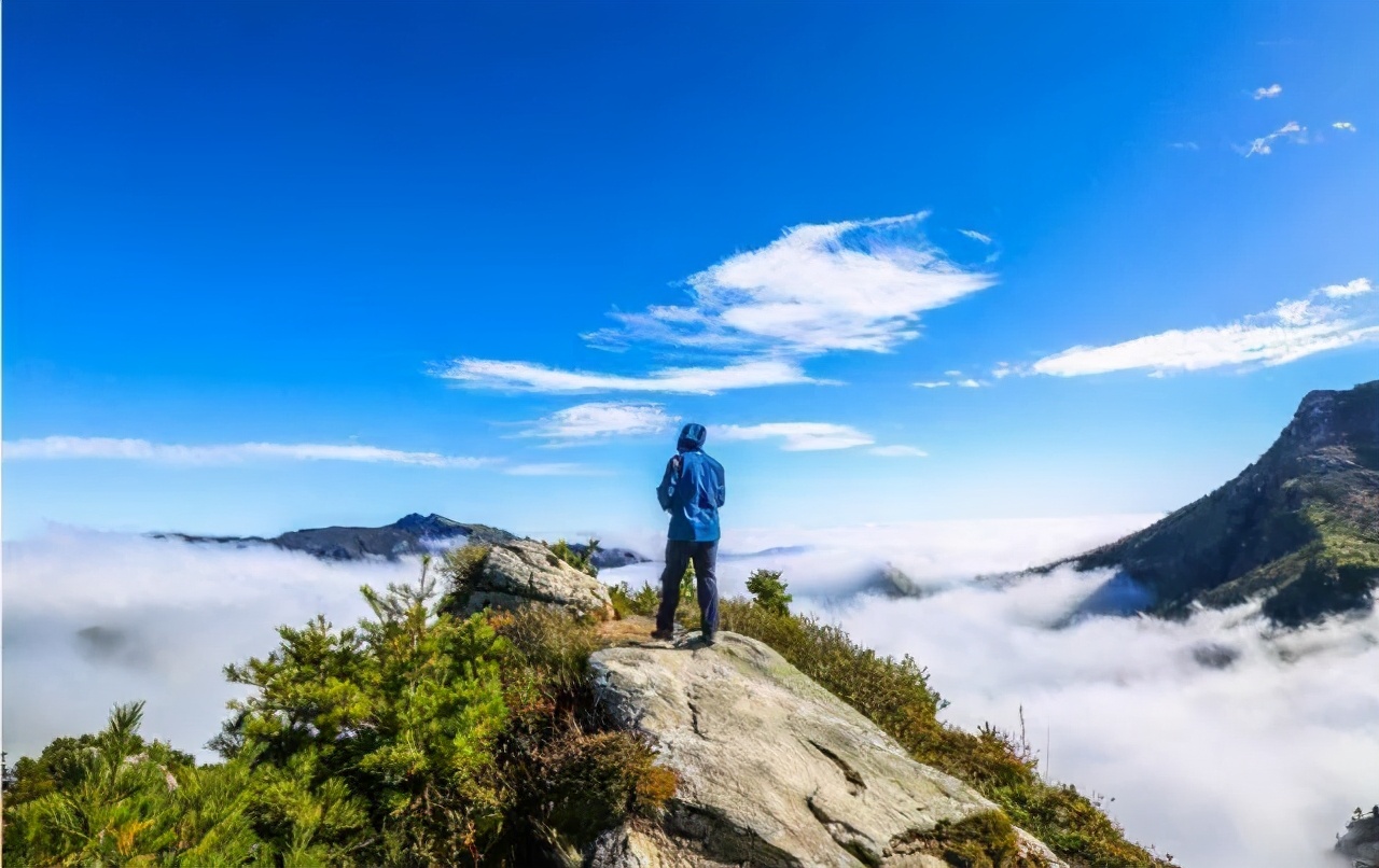 21届考生注意：高考600分恐成分水岭？高考九科平均分出炉