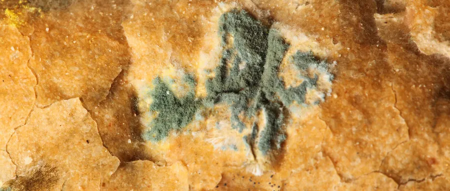 汽车空调真的有必要清洗么?