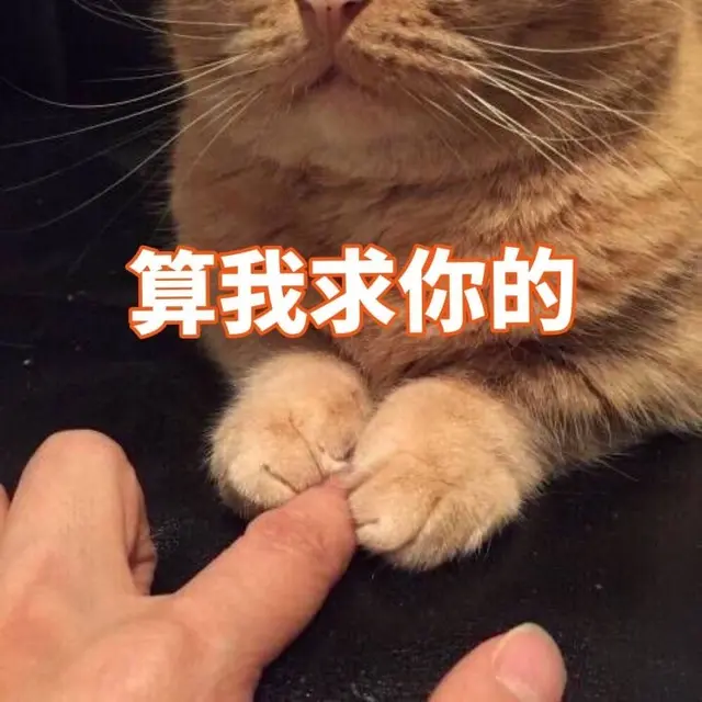 适合给男朋友发的猫猫表情包