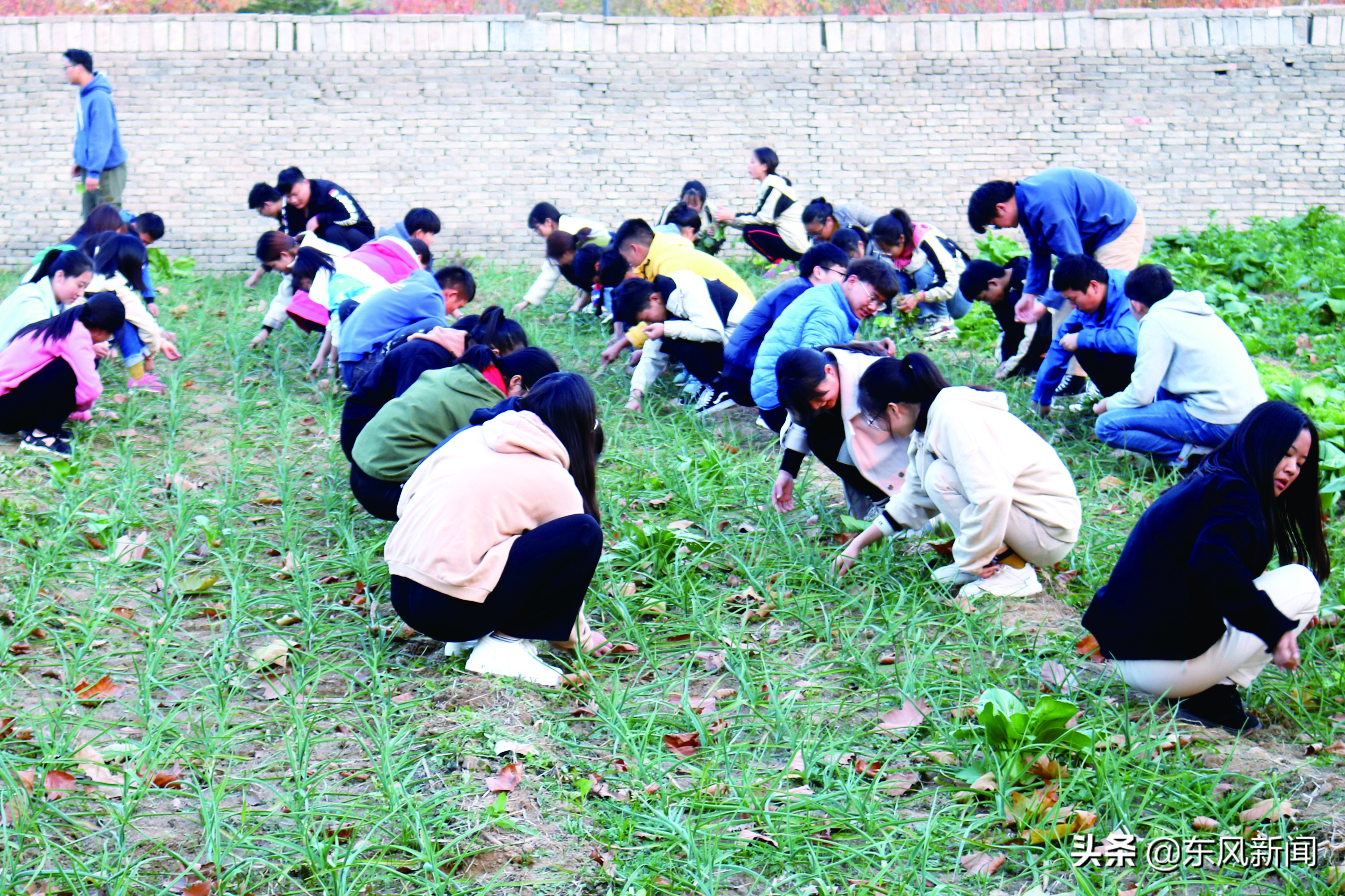 劳动教育如何教育大学生？河南高校在探索