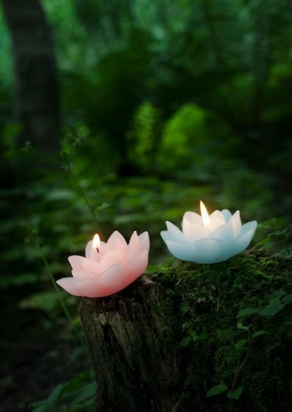 南北东西总是禅，十二首有关禅心的诗词，看古诗词里的禅意