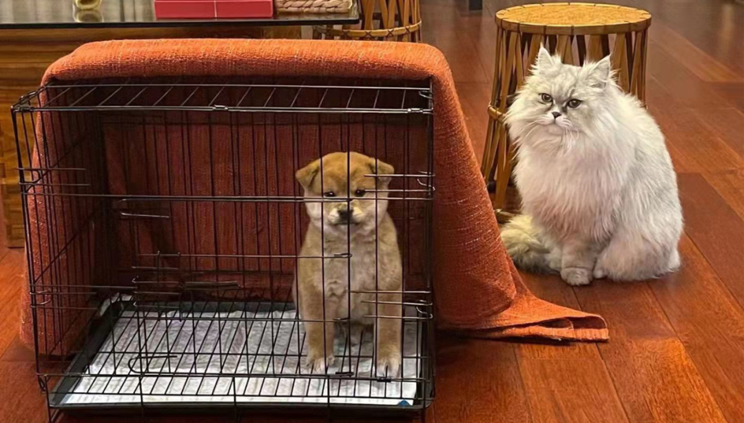 ��������ˣ�����������Լ�����