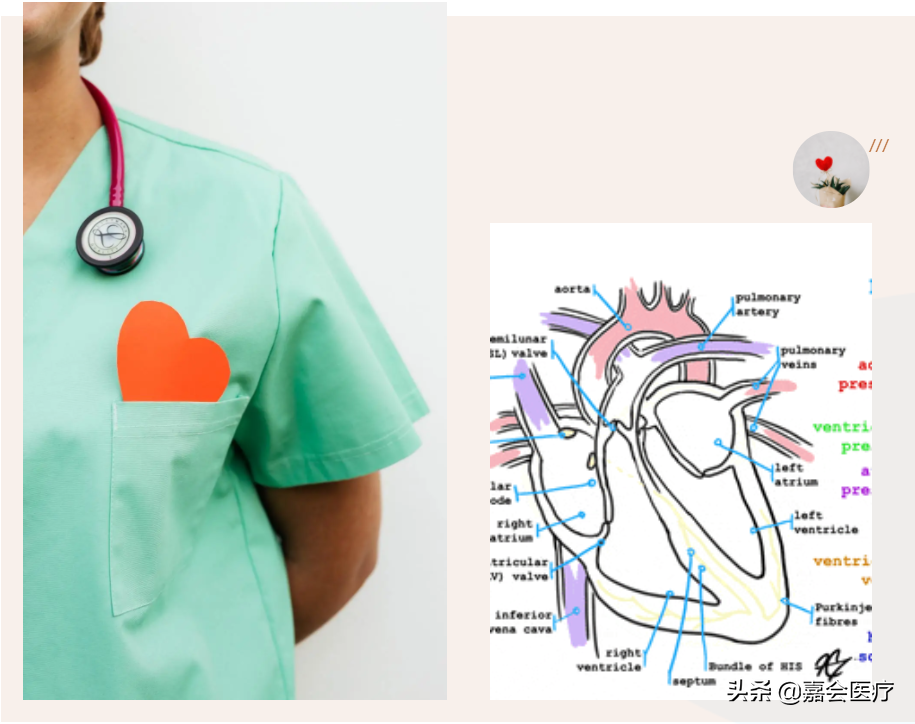 全國心血管患者3.3億！ 保護心臟，從這4個健康習慣開始