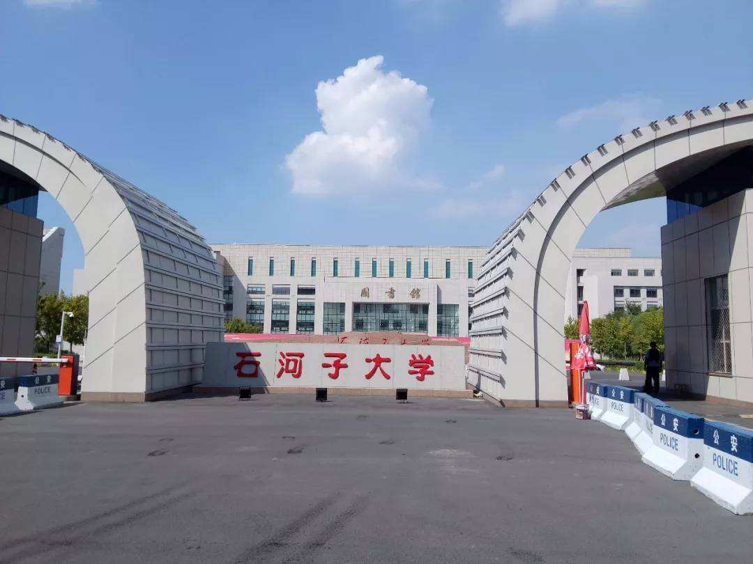 石河子大学录取公布时间（石河子大学2019年各省市分专业录取分数）