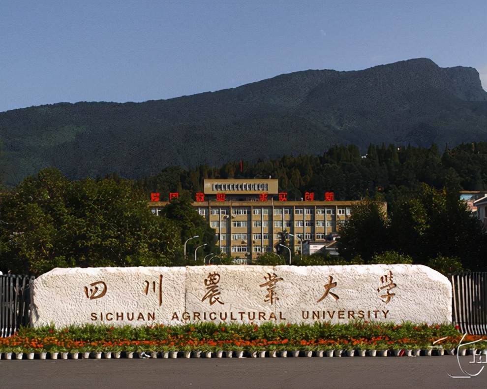 “双一流”四川农业大学艺考政策解读，美术生多少分可以录取？