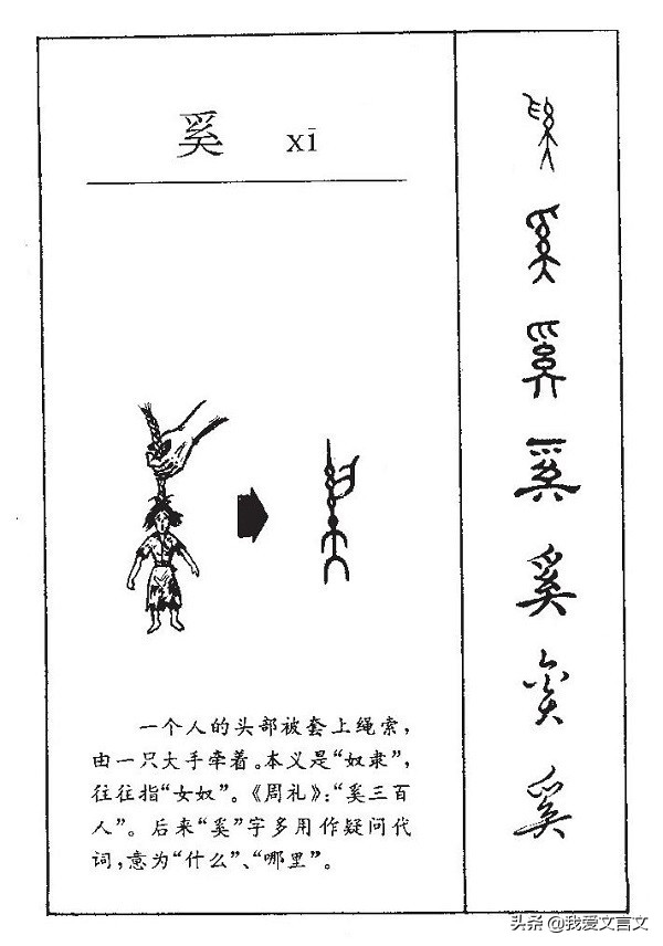 经典文言文赏析 | 次非斩蛟