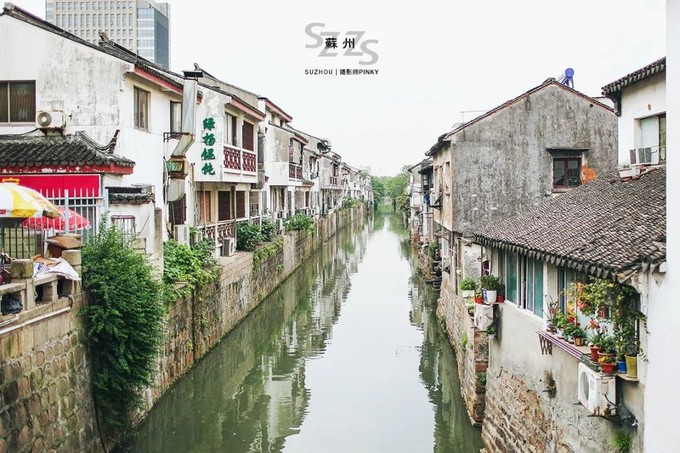 跟着《都挺好》，我们重游苏州