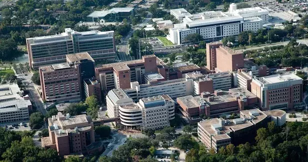 如何确定美国大学的安全性?(附美国最安全的大学Top25榜单)