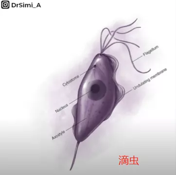 私处分泌物的6种变化，出现这3种颜色赶紧和他一起就医