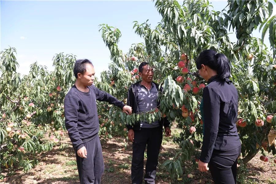 村子里走出的“电商达人”，他卖啥好东西？