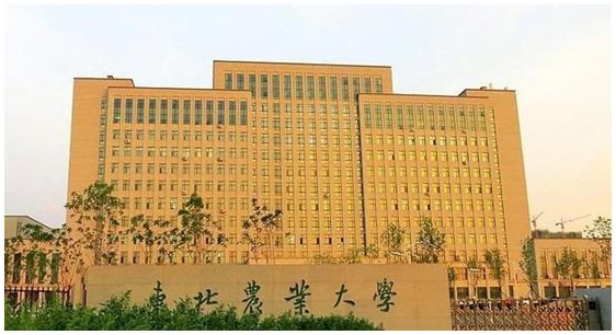 东北中档偏上高校推介：东北林大、东北农大、大连医科、长春理工