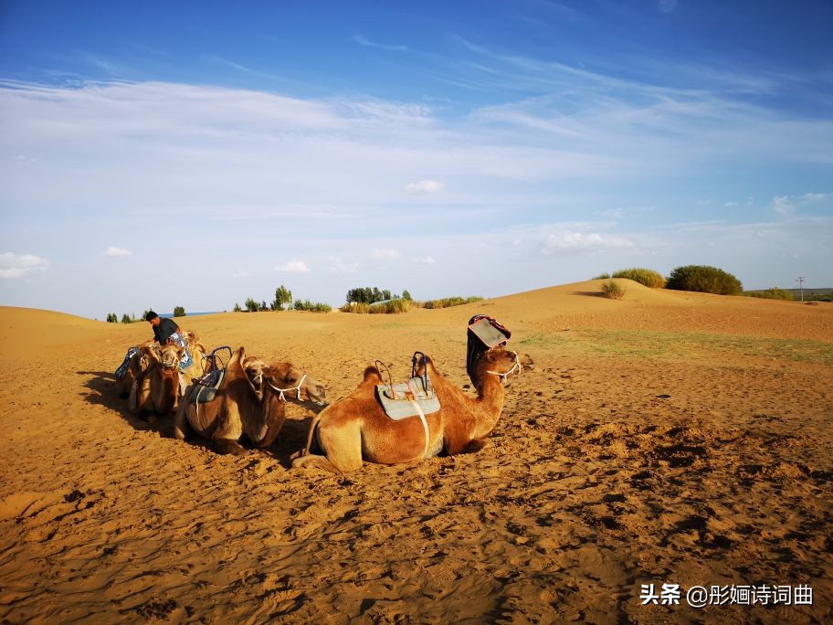 花在草原诗在心：金秋内蒙之旅古典诗词曲拾零悠情