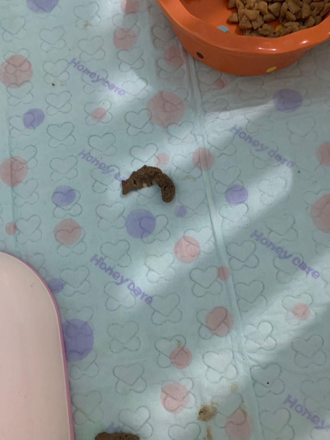 棉签扩张是什么意思(有苦难言的肛门问题,作为家长你了解吗)