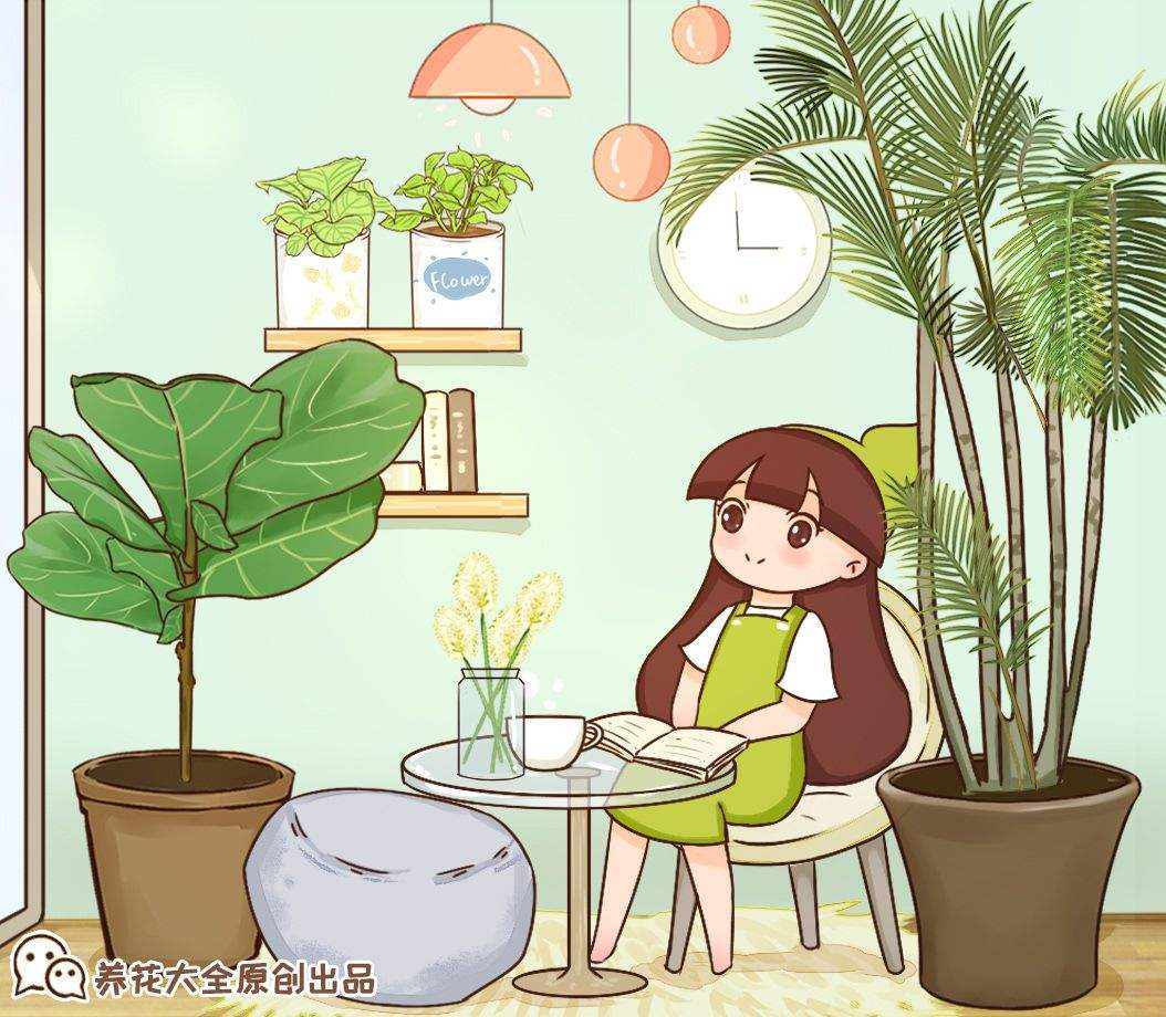 今年超火的10种网红植物,气质满满,养在家里提升格调