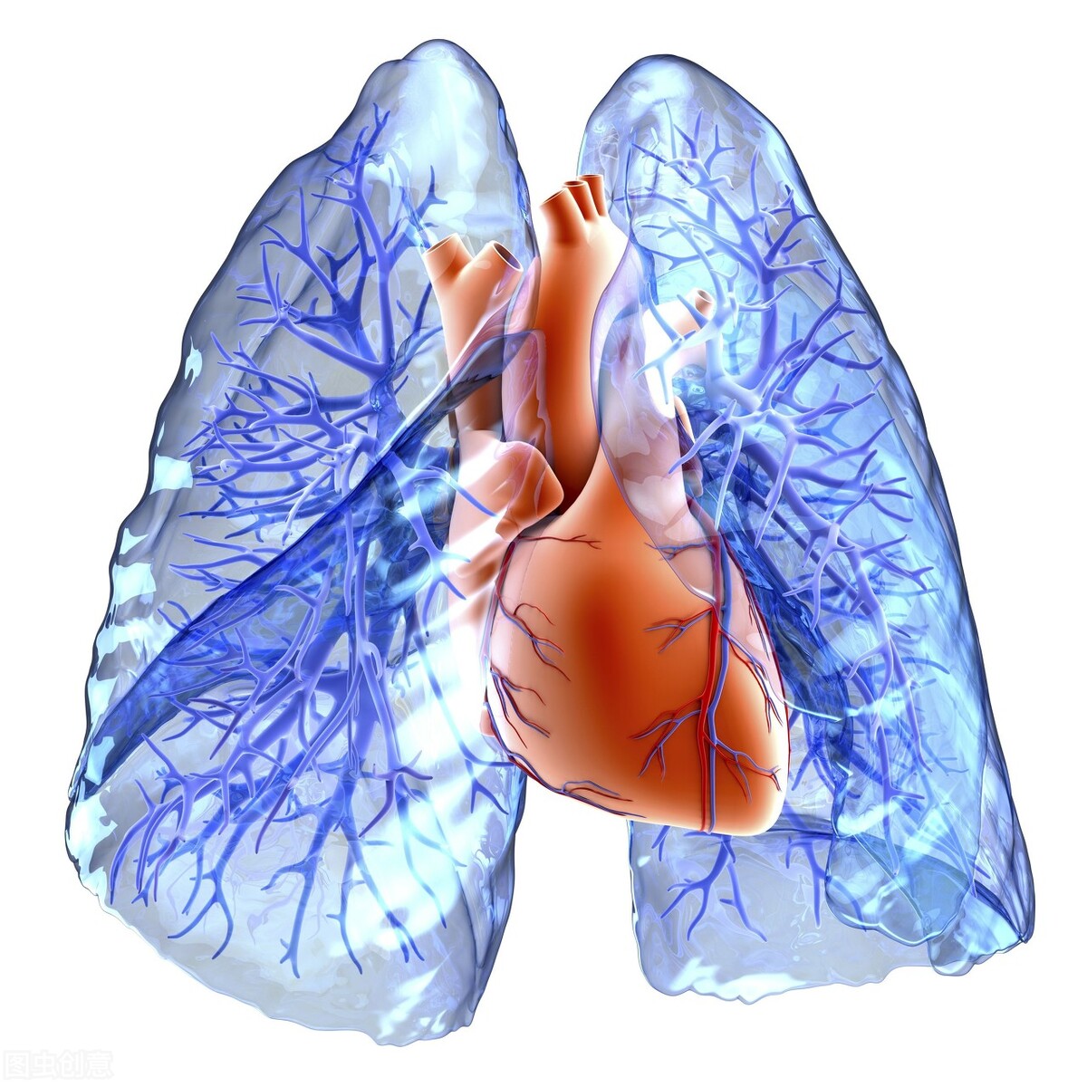 气短气喘，情绪低落？问题在肺肾，中医辨证调理，告别呼吸问题