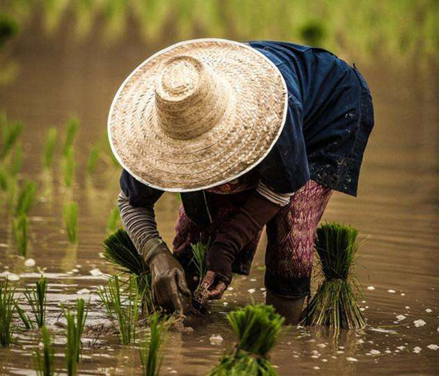 温铁军：中国不能实行农村土地私有化，农业问题不能单拎出来考虑