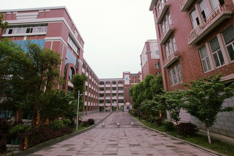 湖南岳阳闻名遐迩四所好高中，2020高考喜报，岳阳市一中继续领跑