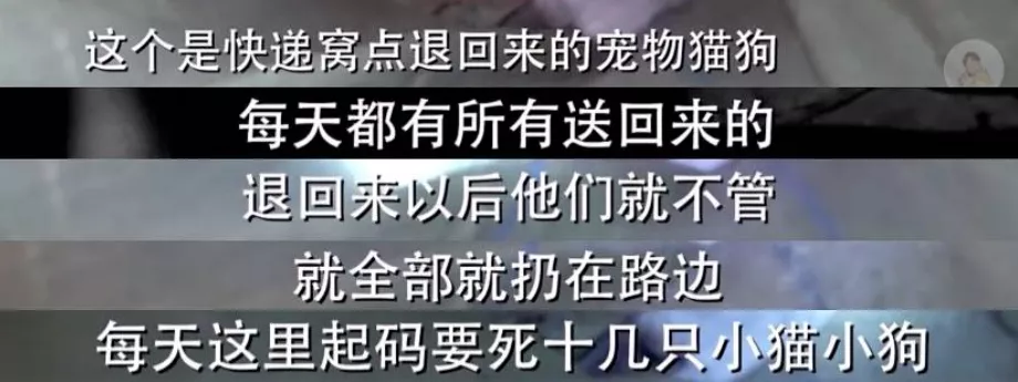 激怒4.6亿人，央视下场痛批！最“反人性”的生意，还在疯狂敛财