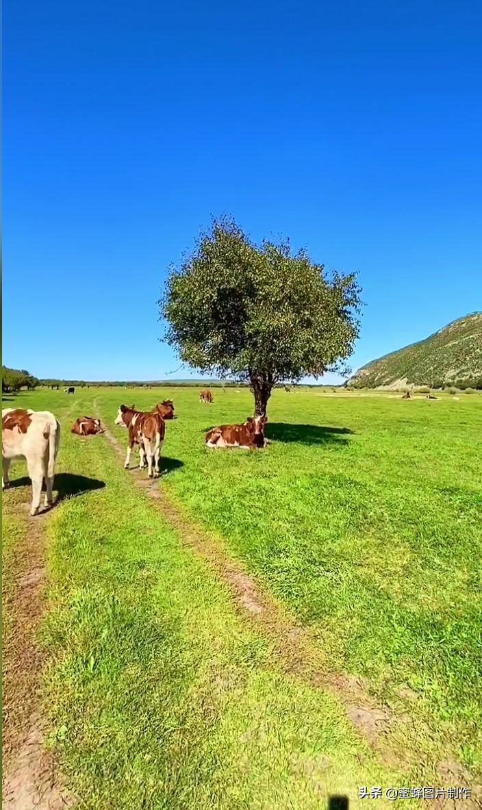 绿色护眼壁纸背景图 无论去哪沿途都是风景