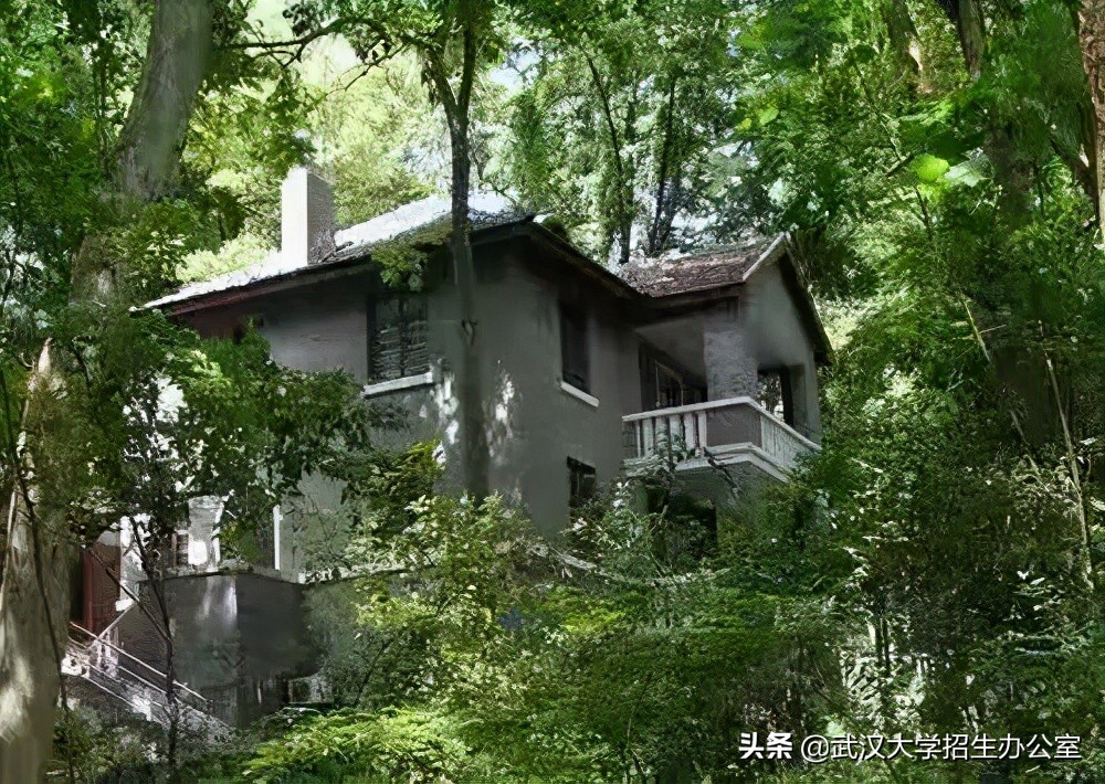 超50万人报考！来武汉大学，2025年，你将拥有“无价之物”！