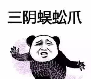 熊猫头表情包：我将毕生的武功全都传给你