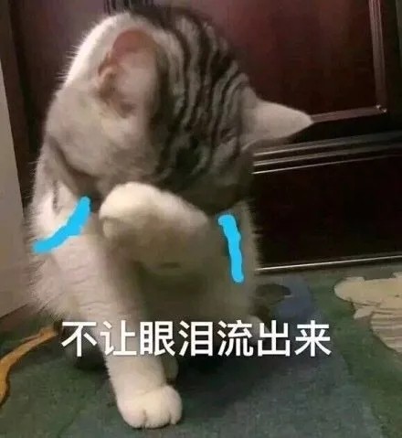 猫咪表情包合集｜不要逼我亮出武器