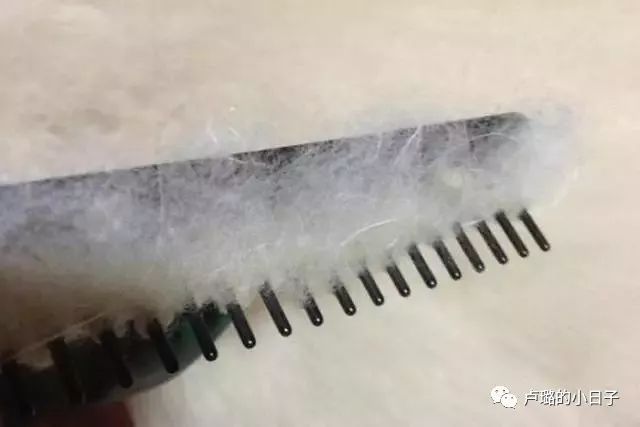 羊絨衫品牌排名,羊絨衫品牌