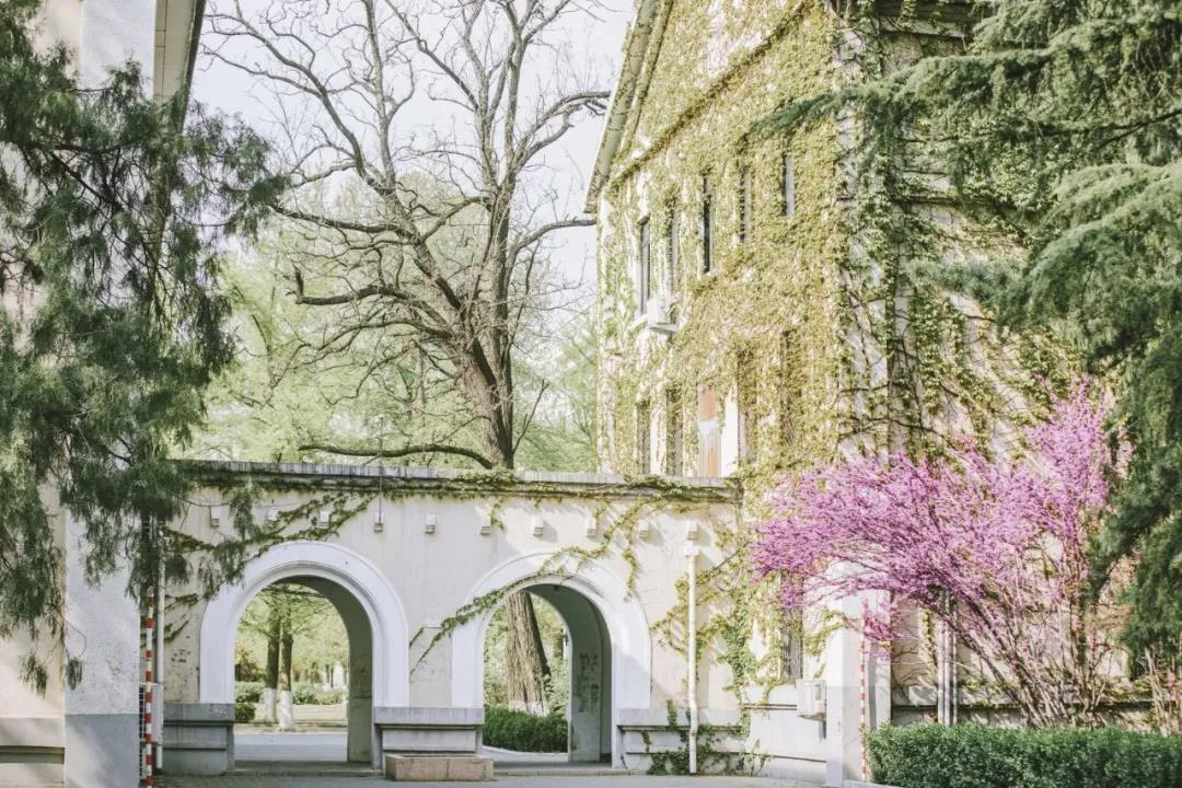 北京“花园式”大学：占地1000亩，3条地铁线直达，宿舍空调、无线网全覆盖！