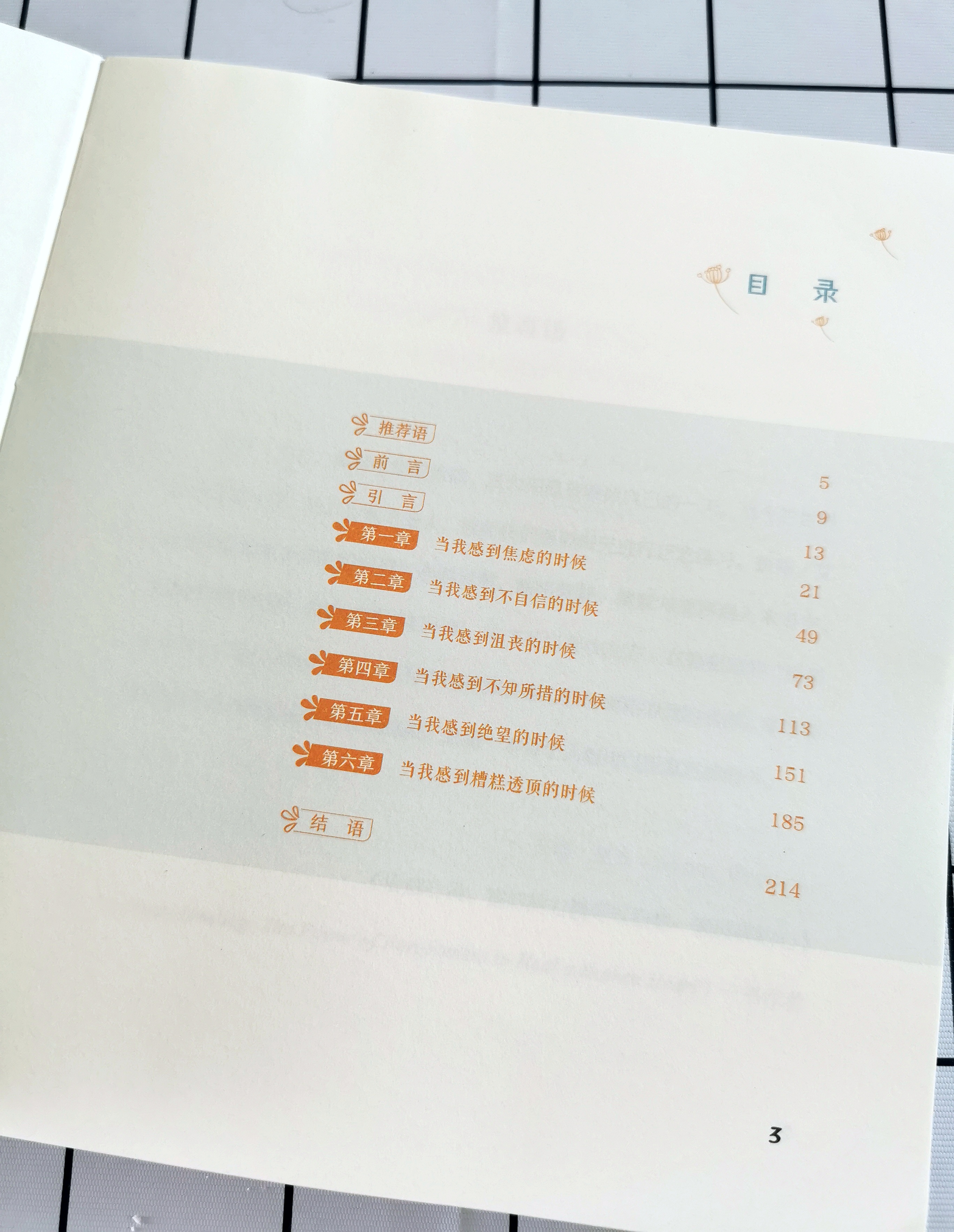 《柔软的刺猬》：用温暖美好的力量疗愈自我