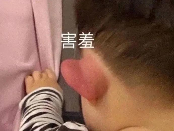 表情包：慌得一批