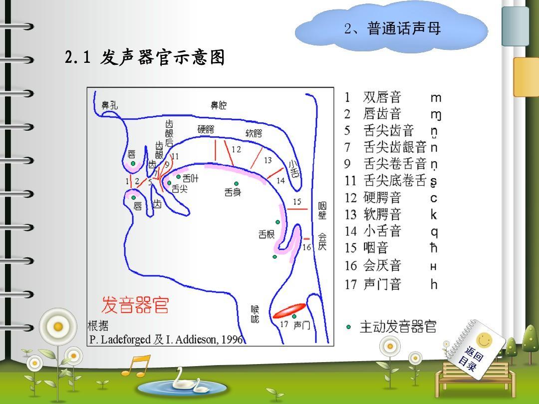 小儿心浊音界范围表ppt图片