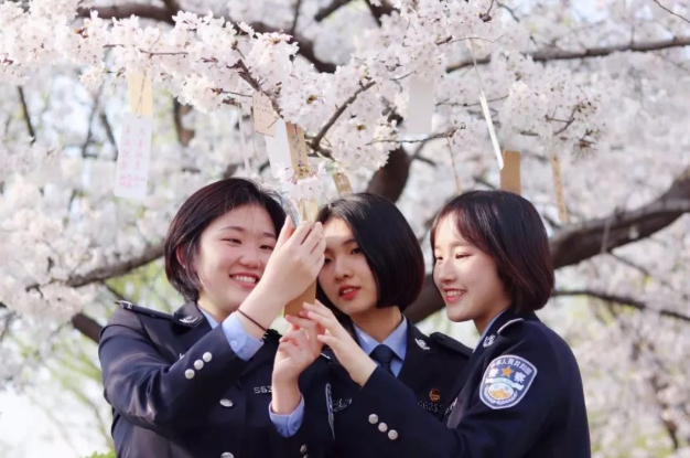 就业率高的3所双非院校，录取分数也不算高，未来发展也很好