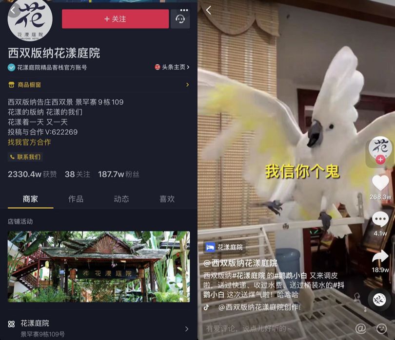 这家店铺的月营业额翻了20倍！抖音企业号这么好用你还不知道吗？